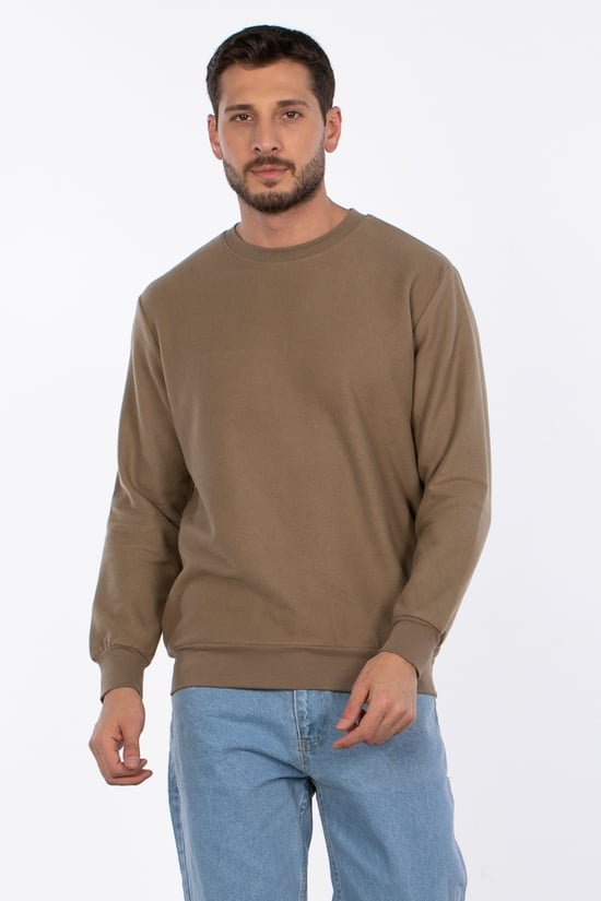 Erkek Regular Fit Bisiklet Yaka Vizon İnce Sweatshirt